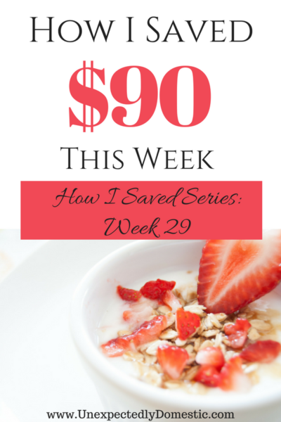 Week 29: How I Saved $90 - Unexpectedly Domestic