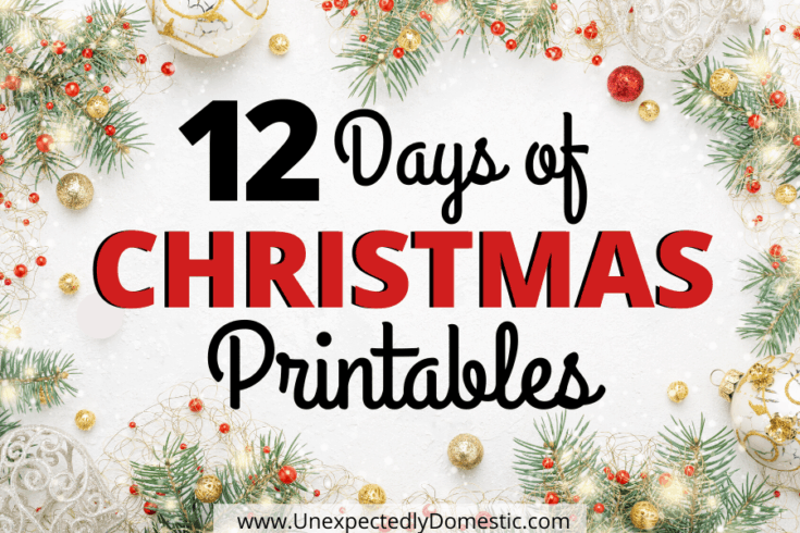 12 Days of Christmas Printables - Unexpectedly Domestic