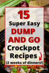 15 SUPER Easy Slow Cooker Dump Meals (all Dump And Go Recipes!)