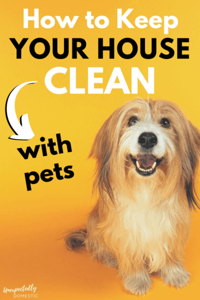 How to Keep Your House Clean with Pets (+ 10 must have items!)