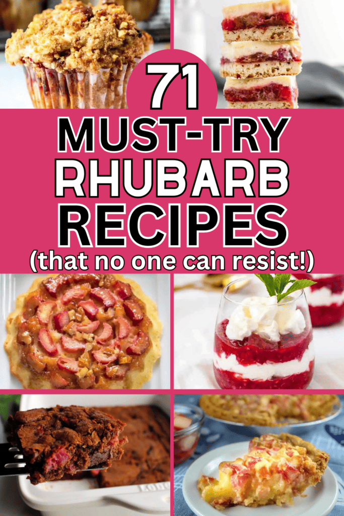 71 Mouth Watering Rhubarb Recipes To Satisfy Your Cravings   Easy Rhubarb Dessert Recipes 683x1024 