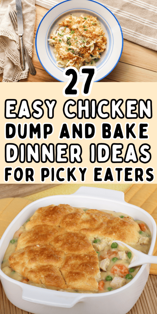 27 Easy Dump & Bake Chicken Recipes For Busy Weeknights