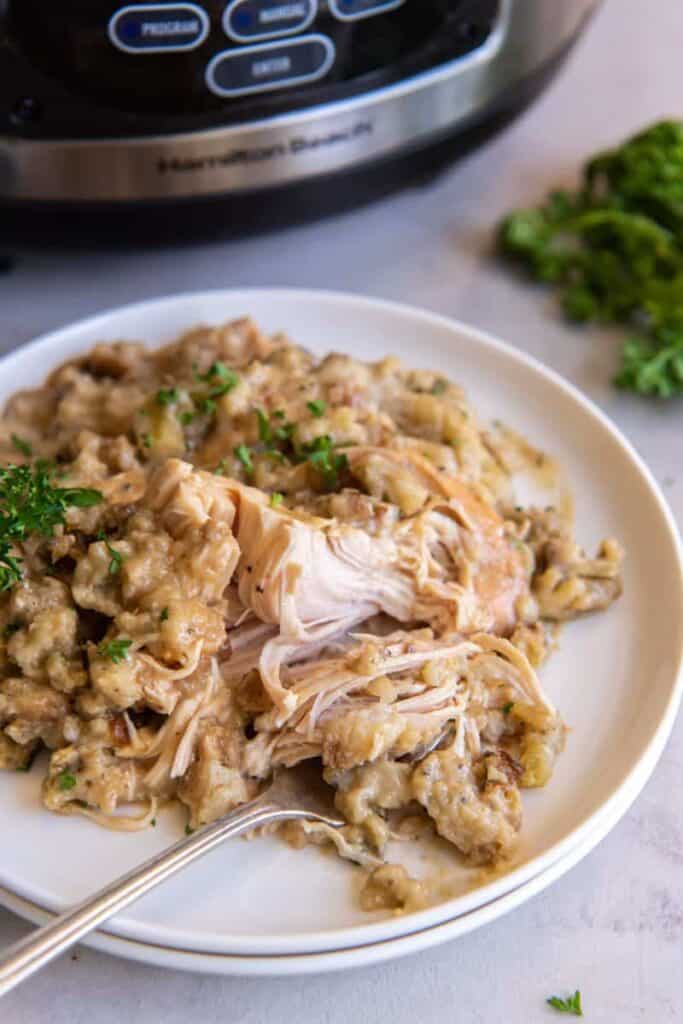 47 Easy Chicken Crockpot Dump Meals for Effortless Dinners