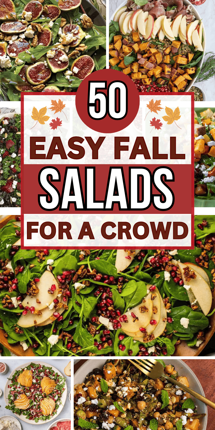 The best fall salad recipes! Healthy autumn salads with seasonal flavors like butternut squash, apple, pears, sweet potato, pomegranate, cranberries, pumpkin, and maple, with chicken, beetroot, quinoa, farro and brussel sprouts. Easy fall salad ideas for a crowd, healthy fall recipes, harvest salad recipes, vegetable side dish for Thanksgiving recipes, autumn side dishes, holiday salads, fall side dishes, fall salad aesthetic. Best salad recipes, healthy fall salads, unique fall salad for party.