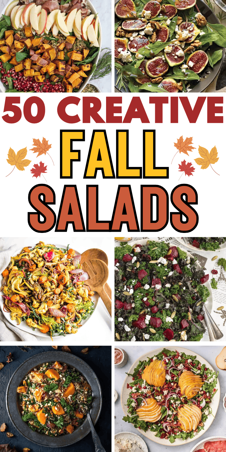 The best fall salad recipes! Healthy autumn salads with seasonal flavors like butternut squash, apple, pears, sweet potato, pomegranate, cranberries, pumpkin, and maple, with chicken, beetroot, quinoa, farro and brussel sprouts. Easy fall salad ideas for a crowd, healthy fall recipes, harvest salad recipes, vegetable side dish for Thanksgiving recipes, autumn side dishes, holiday salads, fall side dishes, fall salad aesthetic. Best salad recipes, healthy fall salads, unique fall salad for party.