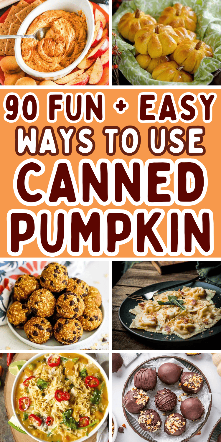 Easy canned pumpkin recipes! Create a delicious breakfast, dinner, dessert or snack with your leftover canned pumpkin. Fall pumpkin recipes for potlucks, Halloween, Thanksgiving, or anytime! Ways to use canned pumpkin, canned pumpkin recipes easy healthy, things to make with canned pumpkin, canned pumpkin recipes desserts, what to do with canned pumpkin, canned pumpkin ideas, pumpkin butter, pumpkin cookies, bread, canned pumpkin puree recipes, savory pumpkin recipes, recipes for canned pumpkin.