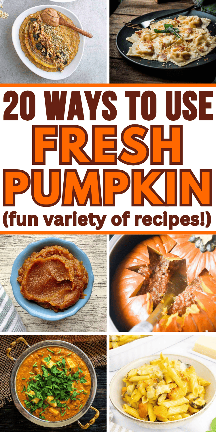 Fresh pumpkin recipes for fall! Forget pumpkin in a can and use a real, fresh pumpkin instead! Exactly how to use fresh pumpkin for fun autumn recipes. Real pumpkin recipes, cooking pumpkin, how to make pumpkin puree, things to make with fresh pumpkin, how to cook pumpkin, recipes using fresh pumpkin, easy pumpkin recipes for dinner or dessert. Fresh pumpkin ideas for Halloween or Thanksgiving, fresh pumpkin uses, savory pumpkin recipes healthy, real pumpkin pie, roast whole pumpkin, fall dishes