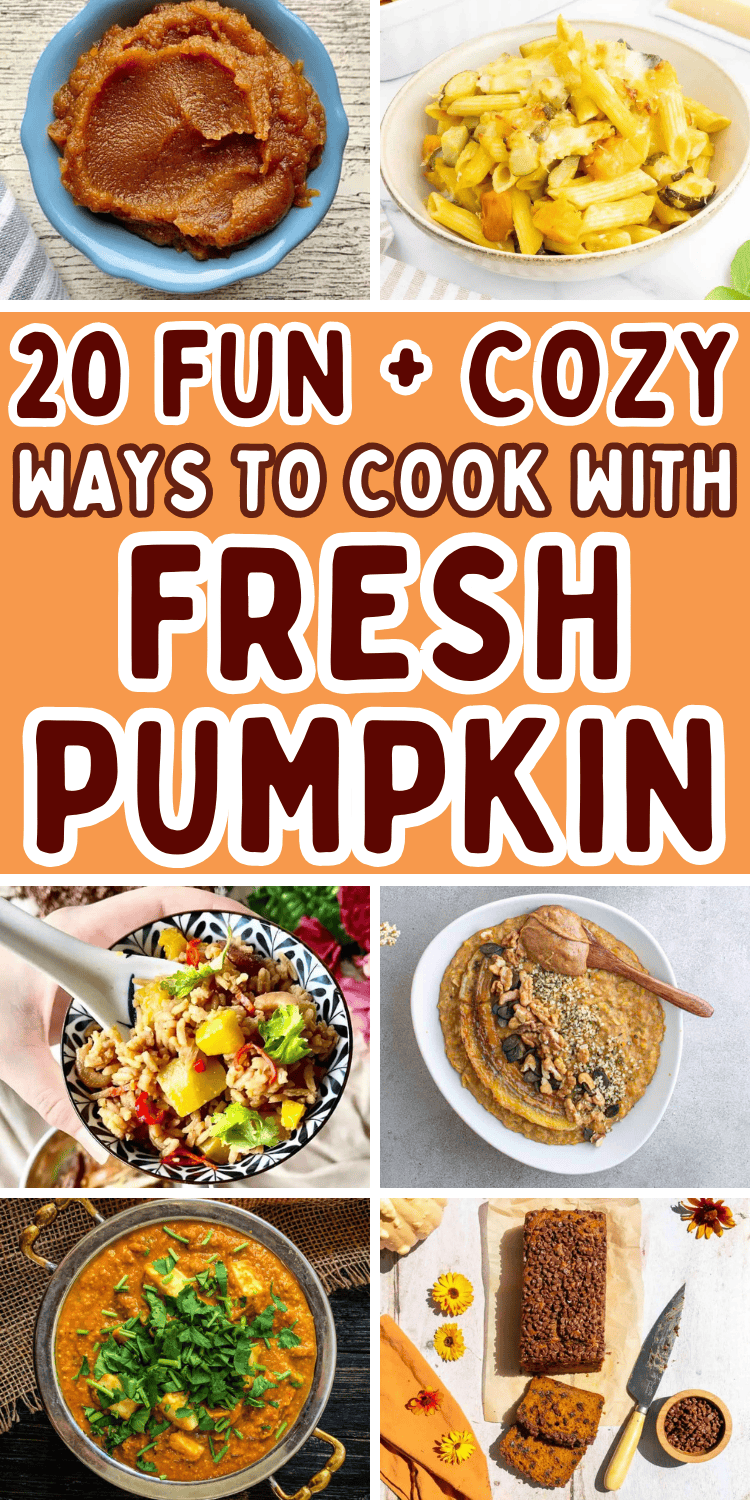 Fresh pumpkin recipes for fall! Forget pumpkin in a can and use a real, fresh pumpkin instead! Exactly how to use fresh pumpkin for fun autumn recipes. Real pumpkin recipes, cooking pumpkin, how to make pumpkin puree, things to make with fresh pumpkin, how to cook pumpkin, recipes using fresh pumpkin, easy pumpkin recipes for dinner or dessert. Fresh pumpkin ideas for Halloween or Thanksgiving, fresh pumpkin uses, savory pumpkin recipes healthy, real pumpkin pie, roast whole pumpkin, fall dishes