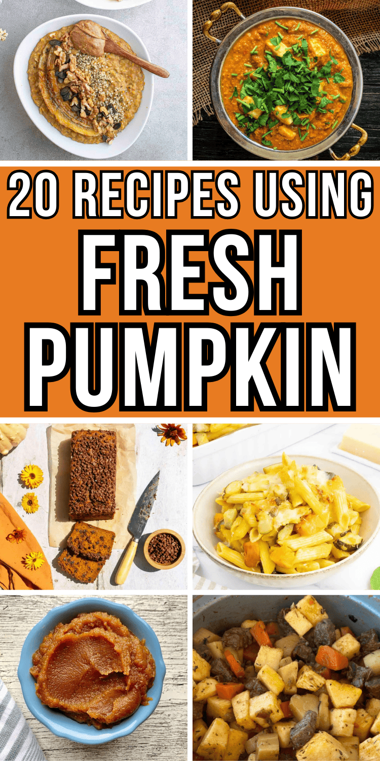 Fresh pumpkin recipes for fall! Forget pumpkin in a can and use a real, fresh pumpkin instead! Exactly how to use fresh pumpkin for fun autumn recipes. Real pumpkin recipes, cooking pumpkin, how to make pumpkin puree, things to make with fresh pumpkin, how to cook pumpkin, recipes using fresh pumpkin, easy pumpkin recipes for dinner or dessert. Fresh pumpkin ideas for Halloween or Thanksgiving, fresh pumpkin uses, savory pumpkin recipes healthy, real pumpkin pie, roast whole pumpkin, fall dishes