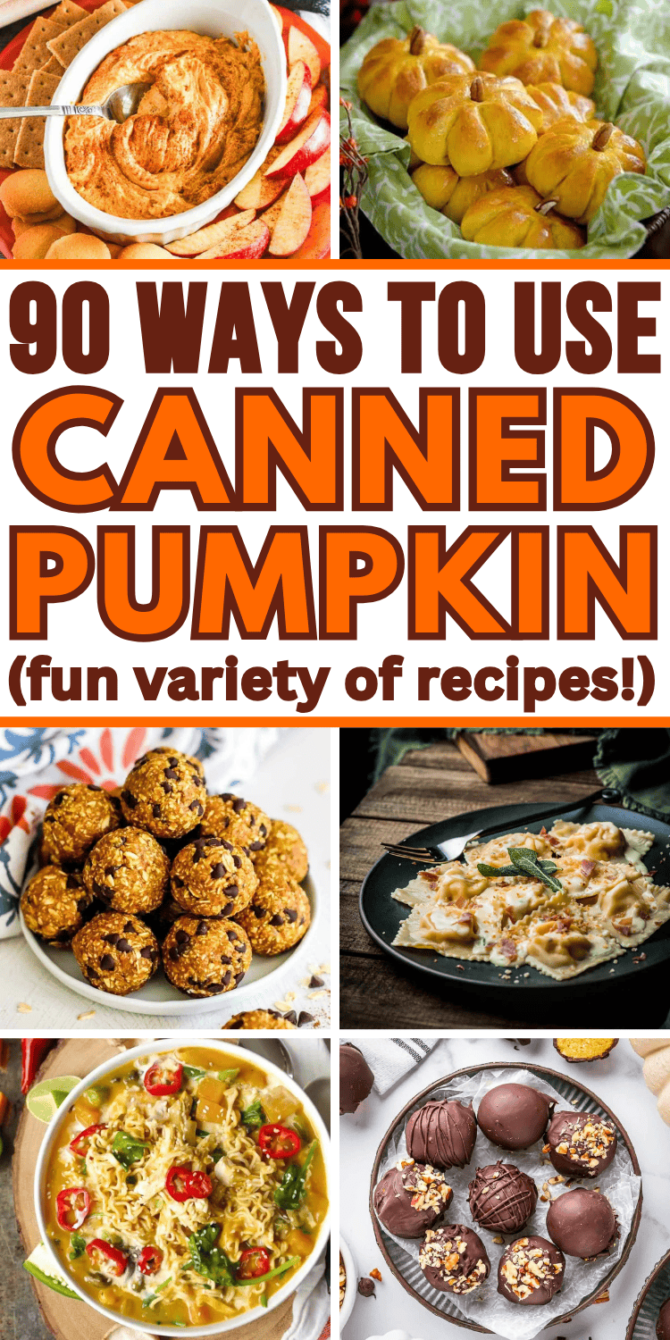 Easy canned pumpkin recipes! Create a delicious breakfast, dinner, dessert or snack with your leftover canned pumpkin. Fall pumpkin recipes for potlucks, Halloween, Thanksgiving, or anytime! Ways to use canned pumpkin, canned pumpkin recipes easy healthy, things to make with canned pumpkin, canned pumpkin recipes desserts, what to do with canned pumpkin, canned pumpkin ideas, pumpkin butter, pumpkin cookies, bread, canned pumpkin puree recipes, savory pumpkin recipes, recipes for canned pumpkin.