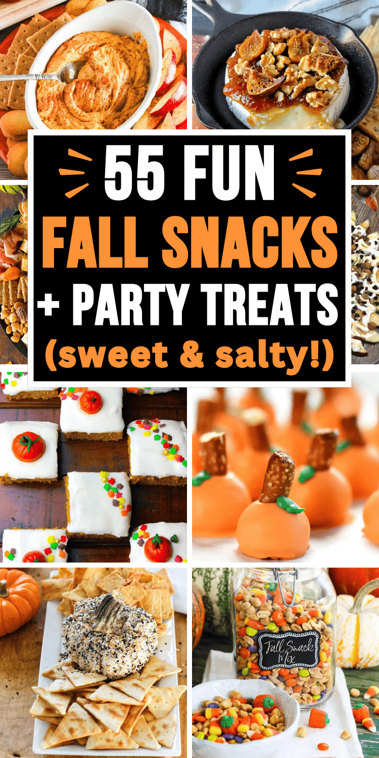 Quick and easy fall snacks and autumn sweet treats! The best fall sweet and salty snacks for a crowd, movie night, after school, Halloween or Thanksgiving potlucks, or football game day. Easy fall snacks for party, cute autumn snacks fall treats, fall bonfire snacks, fall snacks aesthetic, fall charcuterie board, no bake treats, fall snack mix recipes, fall party snacks appetizers, fall themed snacks, finger foods, appetizers and dips, october treats, fall birthday party ideas, harvest treats.