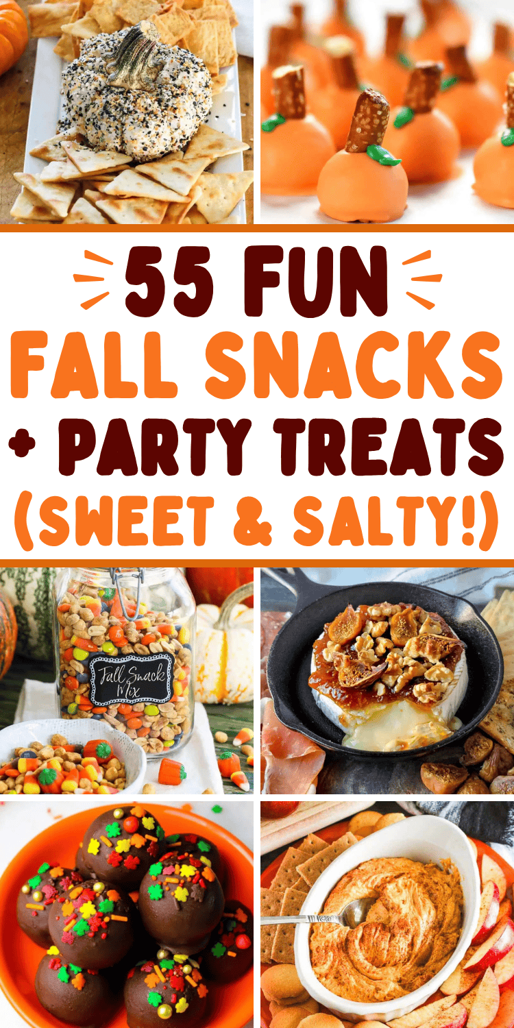 Quick and easy fall snacks and autumn sweet treats! The best fall sweet and salty snacks for a crowd, movie night, after school, Halloween or Thanksgiving potlucks, or football game day. Easy fall snacks for party, cute autumn snacks fall treats, fall bonfire snacks, fall snacks aesthetic, fall charcuterie board, no bake treats, fall snack mix recipes, fall party snacks appetizers, fall themed snacks, finger foods, appetizers and dips, october treats, fall birthday party ideas, harvest treats.